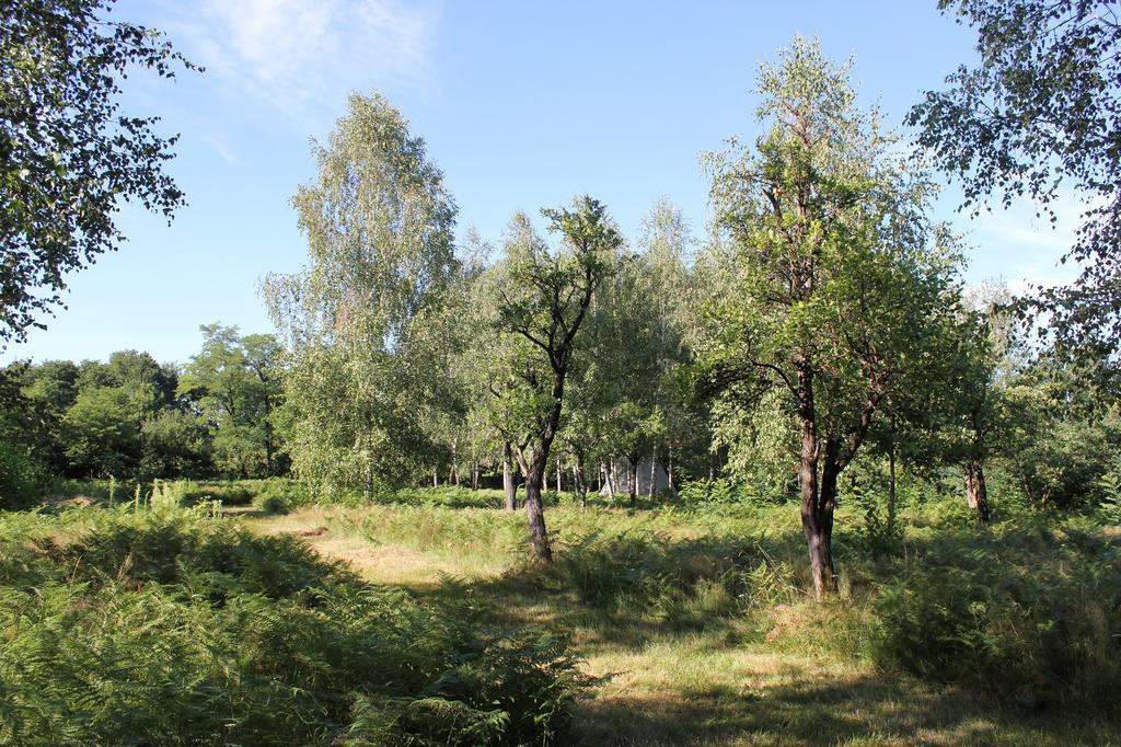 Pensiunea Casa Noastra Baia de Fier Luaran gambar