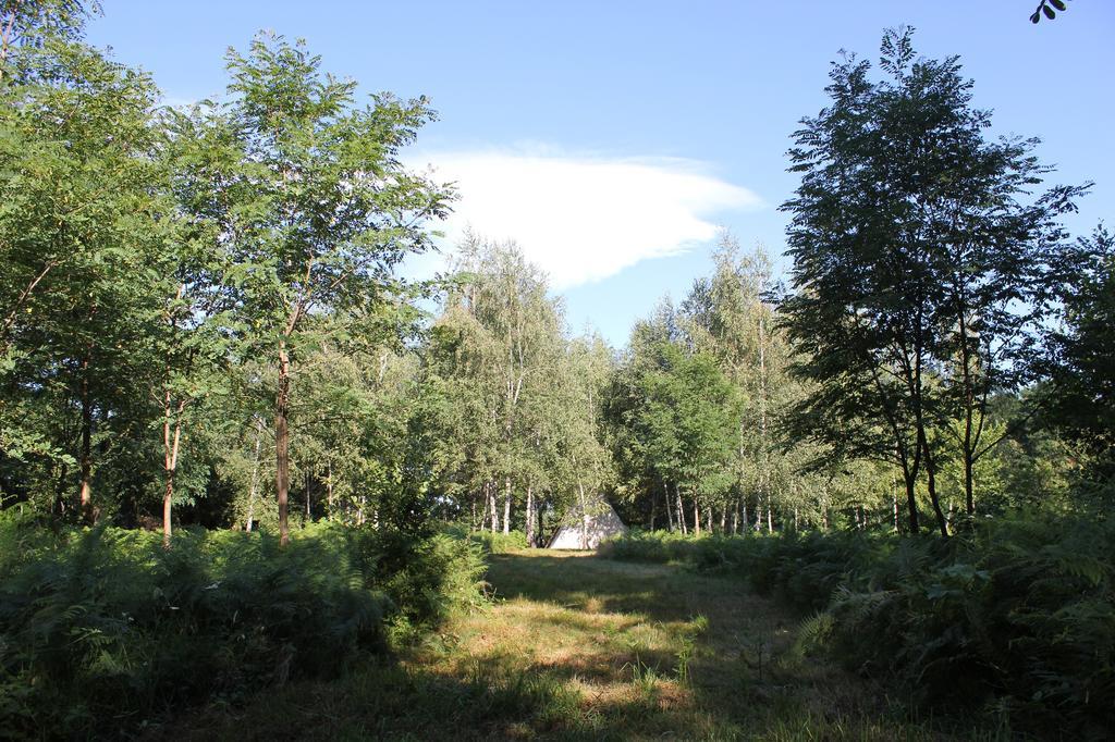 Pensiunea Casa Noastra Baia de Fier Luaran gambar