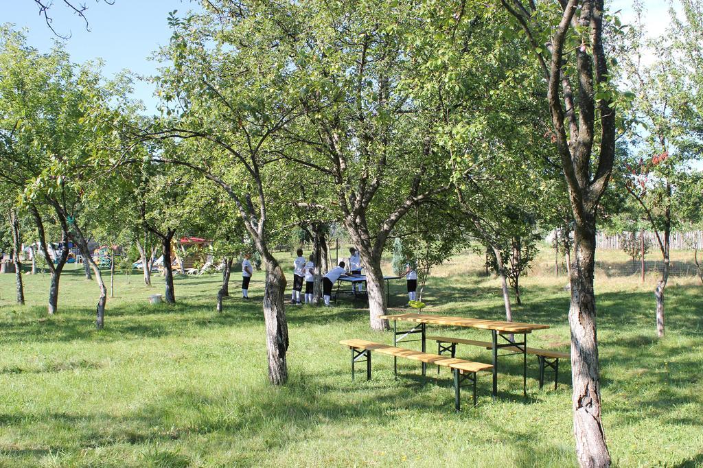Pensiunea Casa Noastra Baia de Fier Luaran gambar