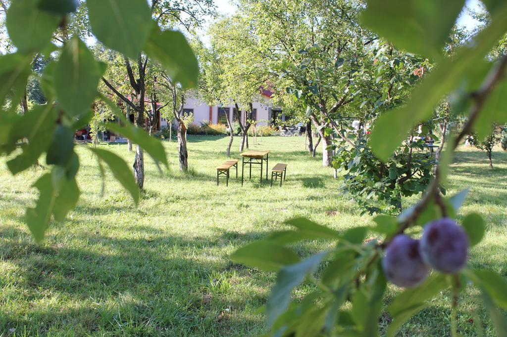 Pensiunea Casa Noastra Baia de Fier Luaran gambar