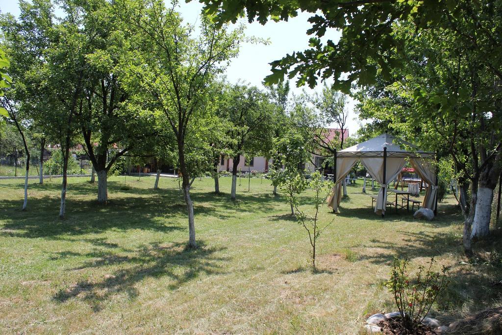 Pensiunea Casa Noastra Baia de Fier Luaran gambar