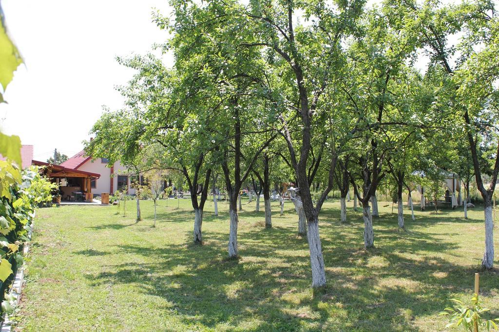 Pensiunea Casa Noastra Baia de Fier Luaran gambar