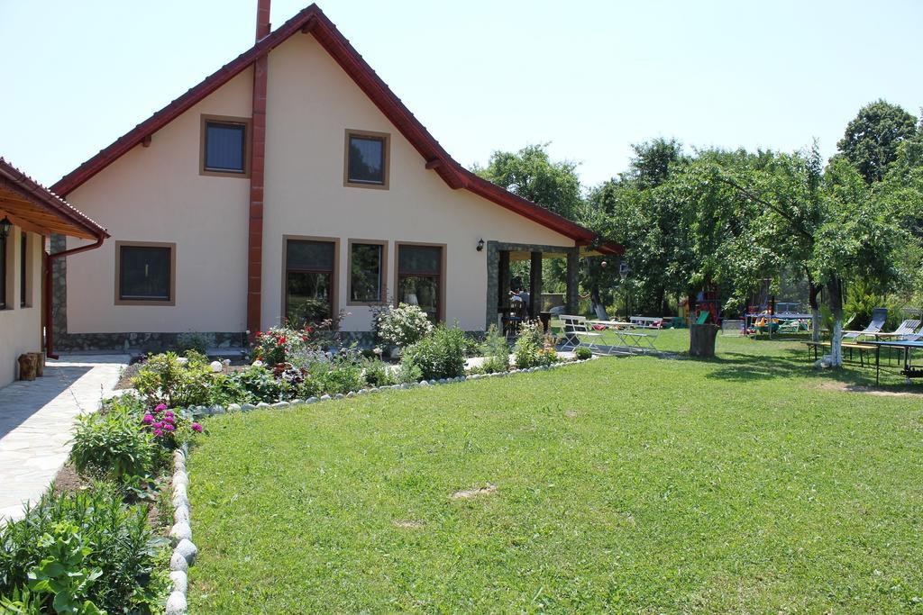 Pensiunea Casa Noastra Baia de Fier Luaran gambar
