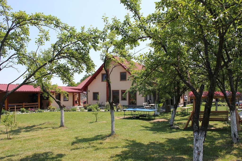 Pensiunea Casa Noastra Baia de Fier Luaran gambar