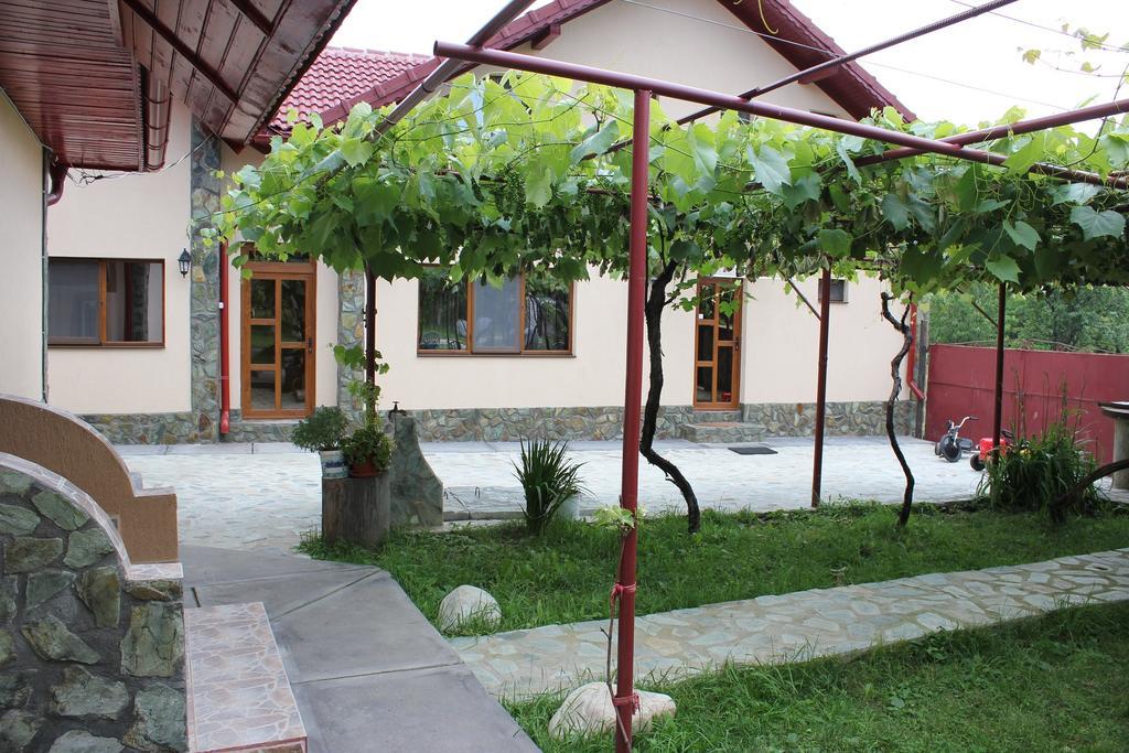Pensiunea Casa Noastra Baia de Fier Luaran gambar