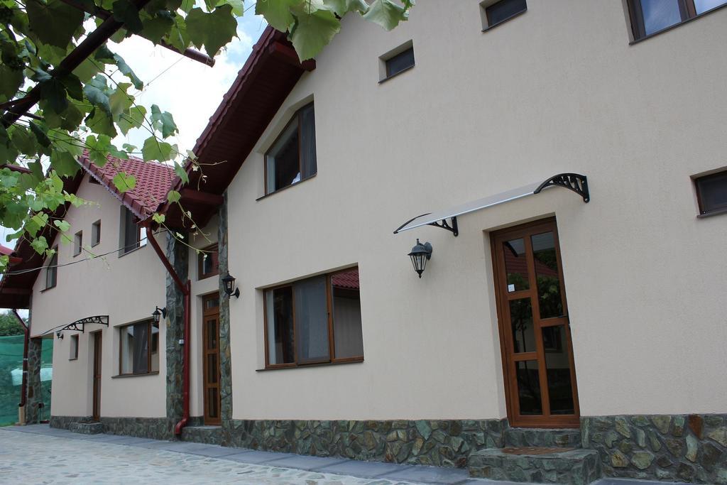 Pensiunea Casa Noastra Baia de Fier Luaran gambar